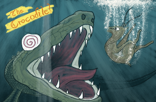 The Crazy Crocodile - Plover Problems