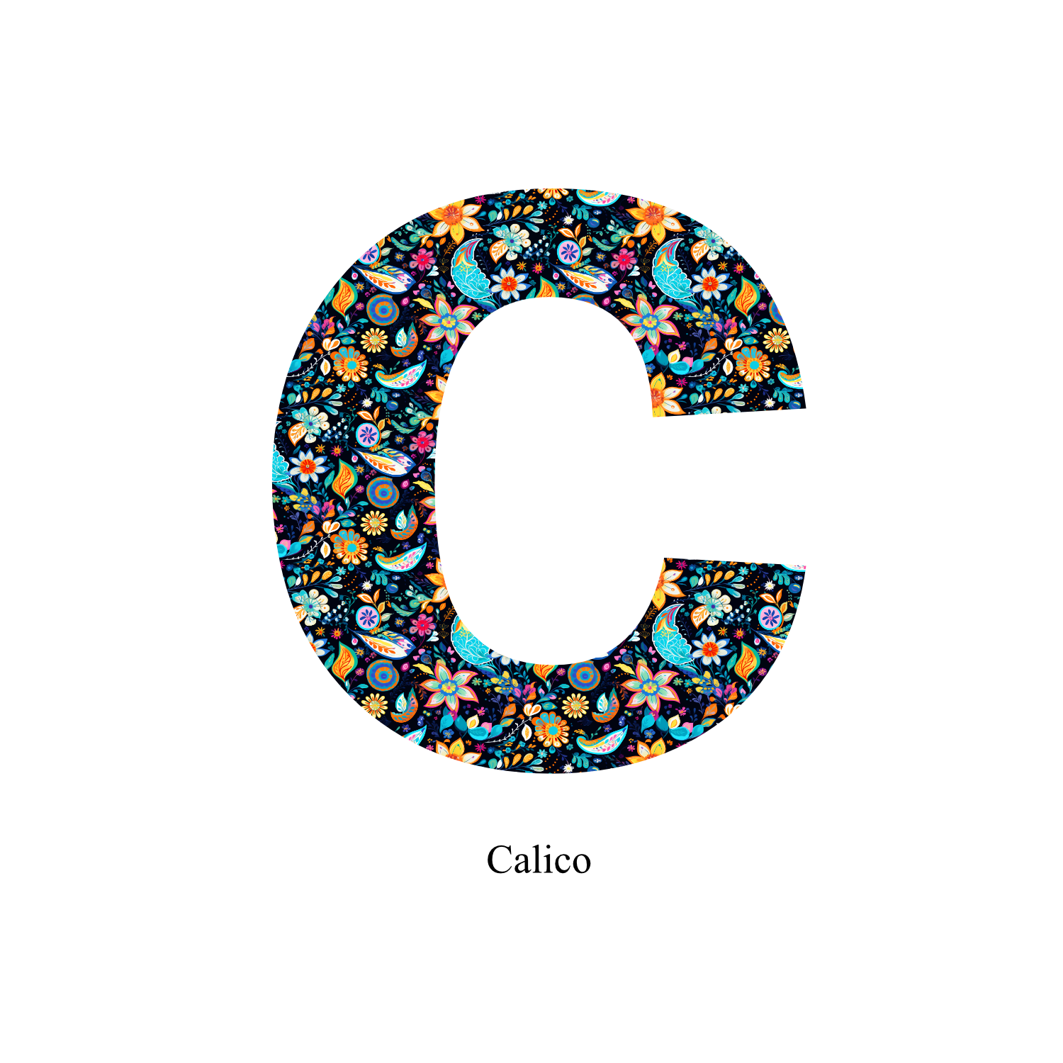 FANCY ALPHABETS CD-ROM付き 素材集 アートブック 洋書 FANCY FANCY ALPHABETS CD-ROM付き 素材集 アートブック 洋書 FANCY